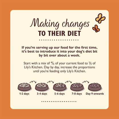 Natural Ingredients Adult Dry Dog Food Balanced Recipe