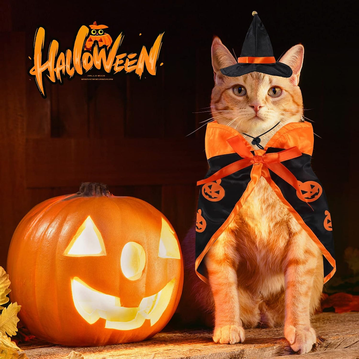 Halloween Pet Costume Cat Wizard Costume Funny Wizard Cat Clothes