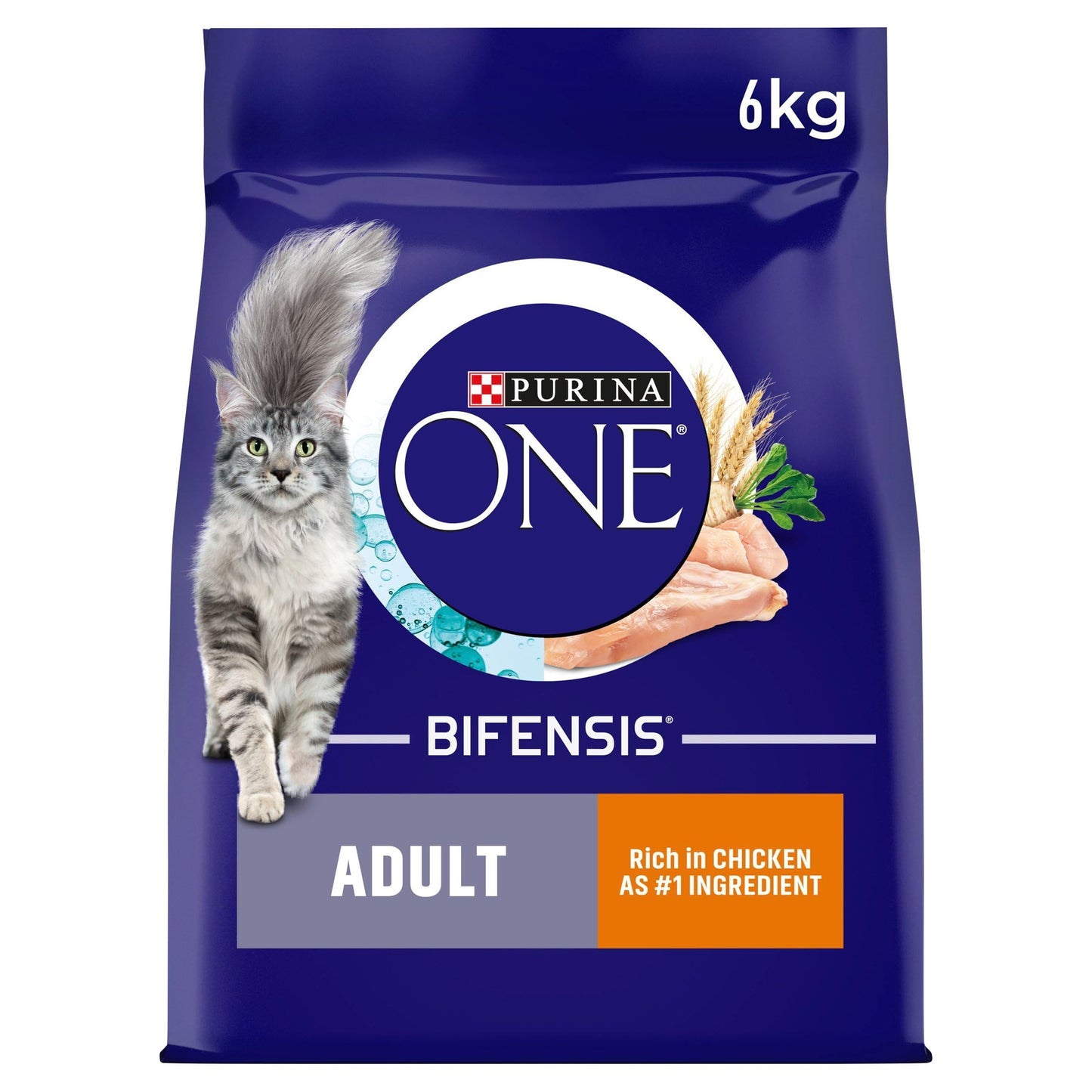PURINA ONE Dry Cat Food