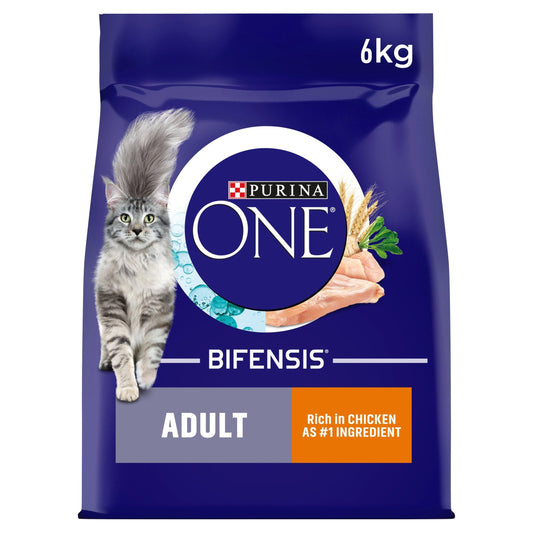 PURINA ONE Dry Cat Food