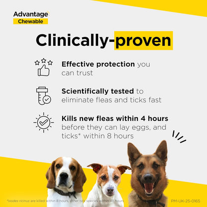 Chewable Flea & Tick Treatment Tablets for Dogs 2.5-5.5kg 3 Pack
