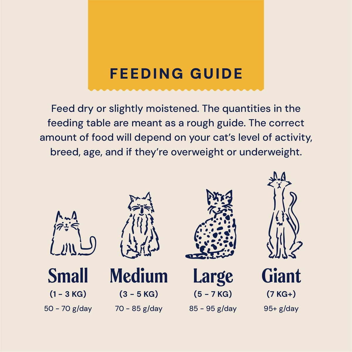 Senior Cat Superfood Complete Dry Cat Food, Turkey, 1.5kg