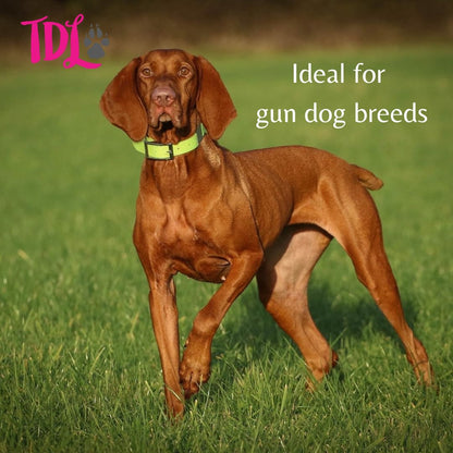 Gun Dog Training Whistle with Lanyard