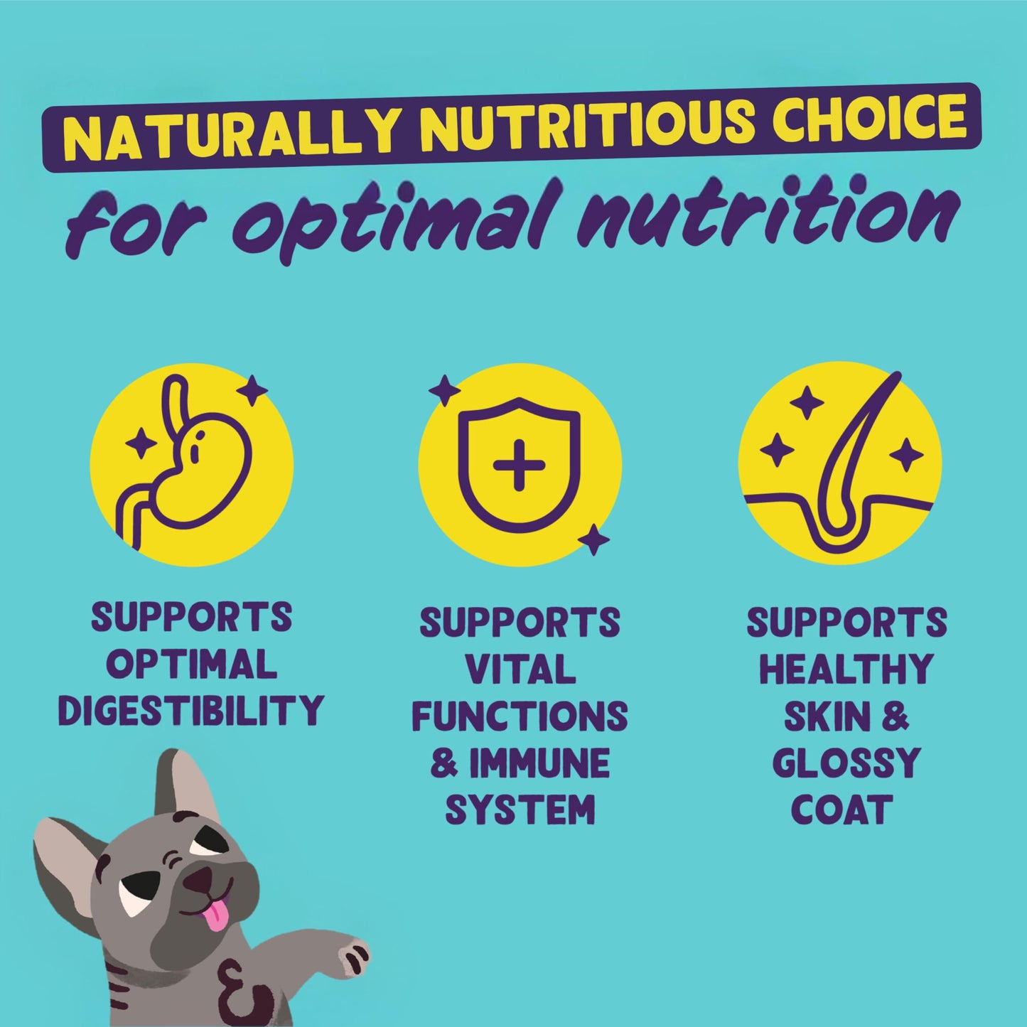 Edgard Cooper Grain-Free Wet Dog Food for Adult Dogs, (11 x 150g), Natural Dogs Food in Cup with Fresh Meat & Amino Acids, Gluten-Free, High Protein