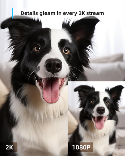 2K Pet Camera