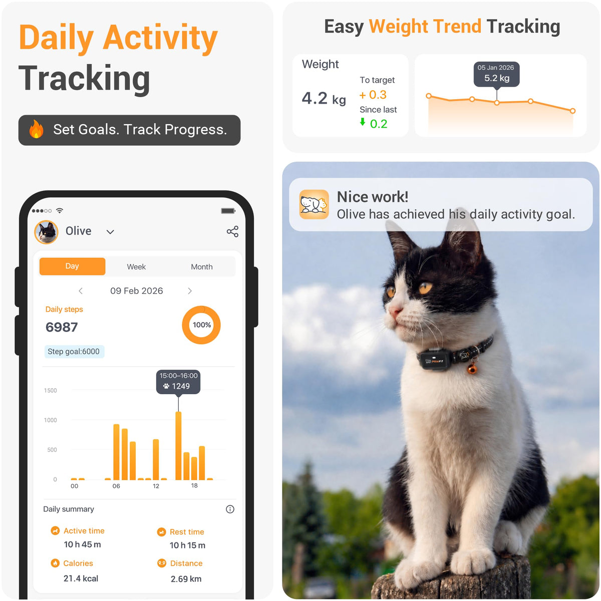 Pawfit Lite 4G GPS Cat Tracker