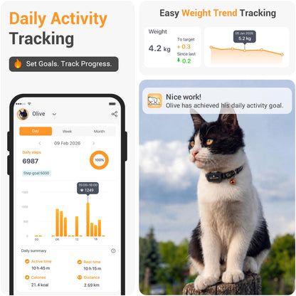 Pawfit Lite 4G GPS Cat Tracker