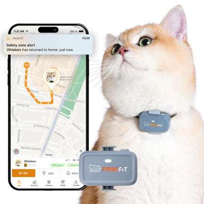 Pawfit Lite 4G GPS Cat Tracker