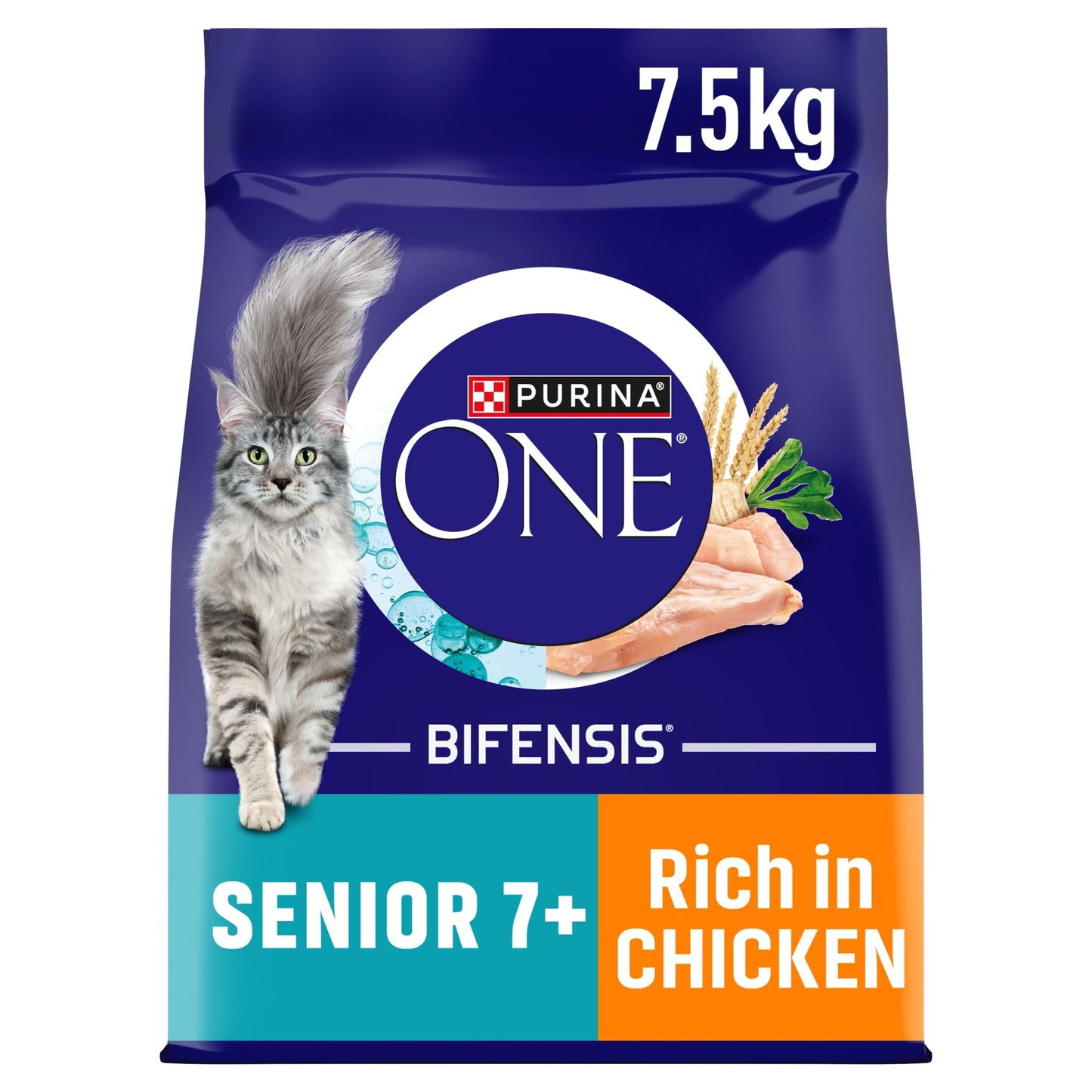 PURINA ONE Dry Cat Food
