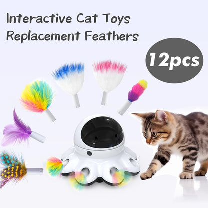 2-in-1 Interactive Automatic Cat Toy
