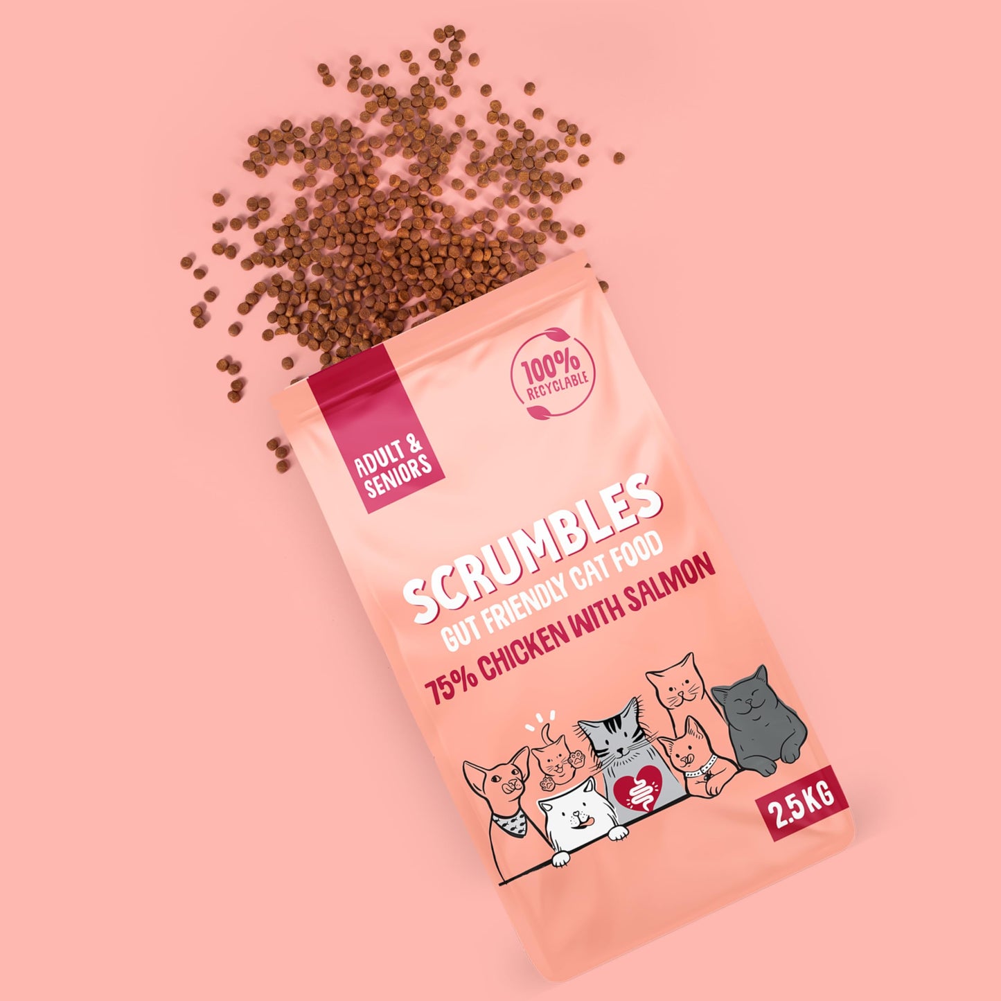 Scrumbles All Natural Dry Cat Food With 75% Chicken and Fresh Salmon, High Protein Food for Adults And Seniors