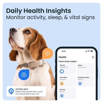 Smart Dog Tracker