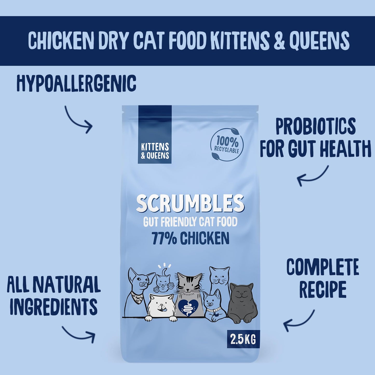 Scrumbles All Natural Dry Cat Food With 75% Chicken and Fresh Salmon, High Protein Food for Adults And Seniors