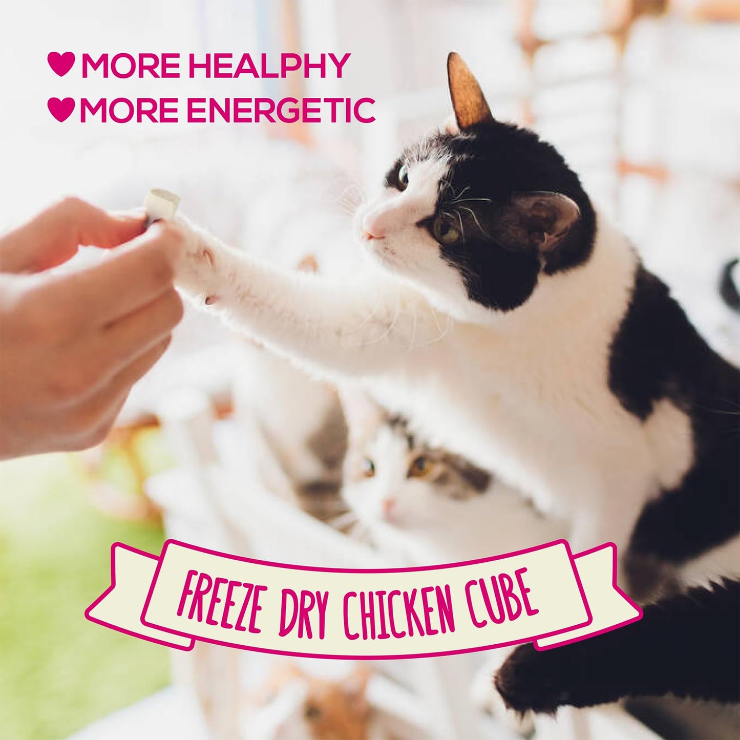 PACK’N PRIDE Freeze Dried Cat Treats, 4 Pack*30g=120g for Indoor Cats with Natural Chicken Breast Meat, Grain-Free, Low-fat Cat Snacks