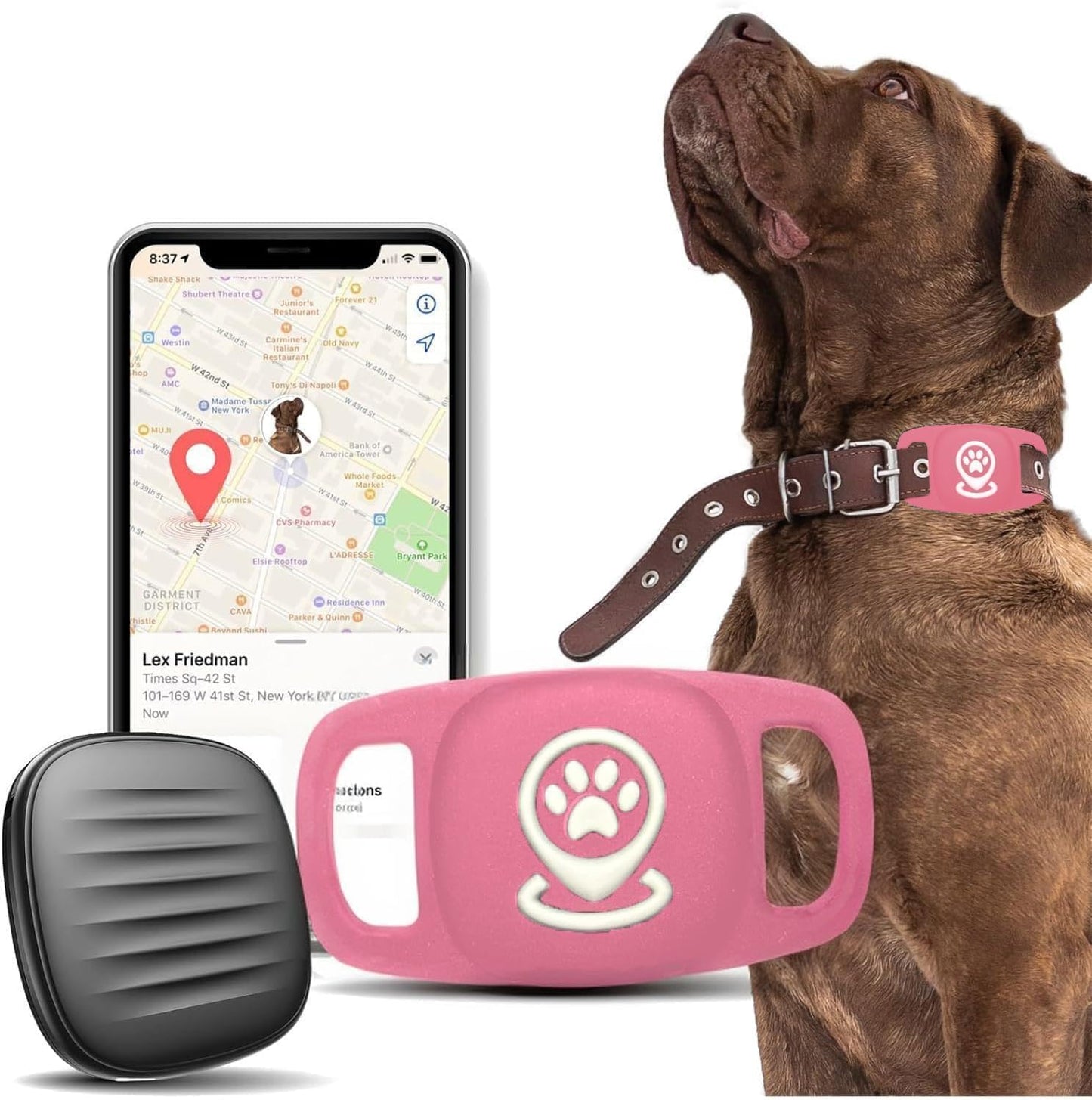 Dog Tracker, Pet Tracker with Dog Collar Tracker Holder, Dog Tracker with No Monthly Fees for Location Tracking, Work with Find My Only iOS, No GPS