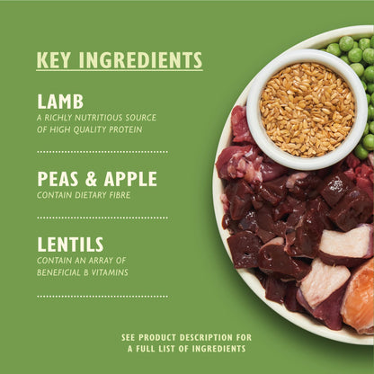 Natural Ingredients Adult Dry Dog Food Balanced Recipe
