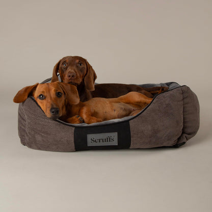 Scruffs Chester Box Bed Graphite