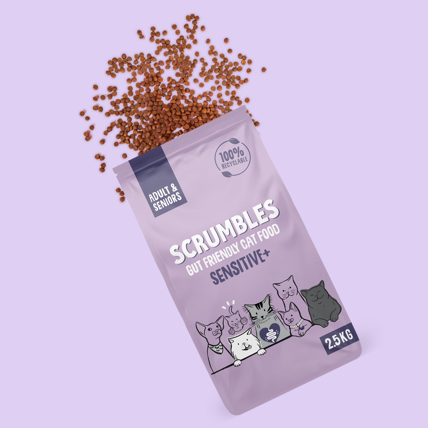 Scrumbles All Natural Dry Cat Food With 75% Chicken and Fresh Salmon, High Protein Food for Adults And Seniors
