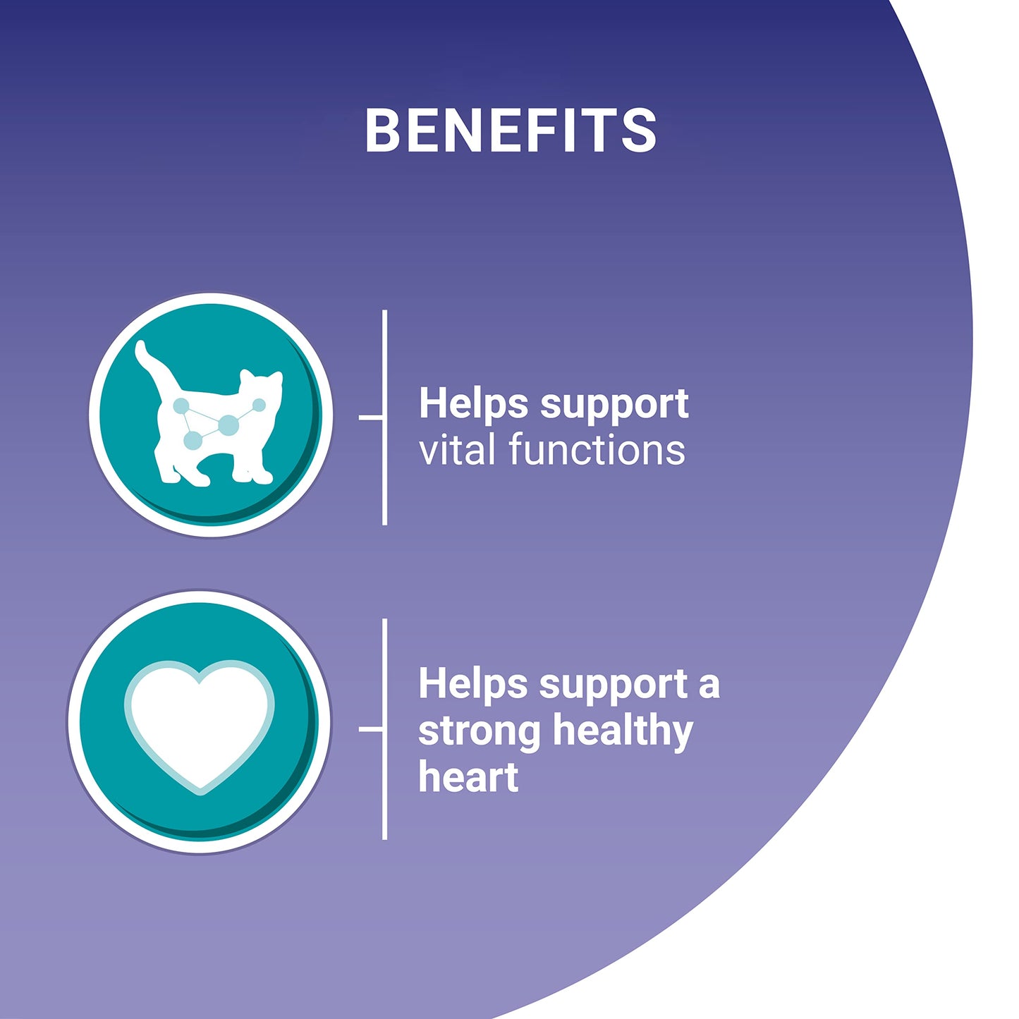 PURINA ONE Adult Cat Food Mini Fillets in Gravy 40 x 85g