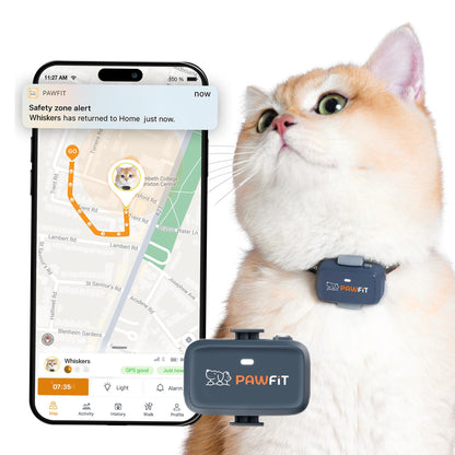 Pawfit Lite 4G GPS Cat Tracker