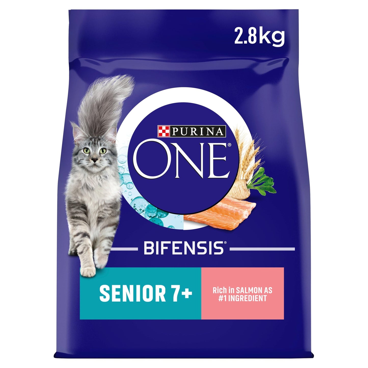 PURINA ONE | Dry Cat Food