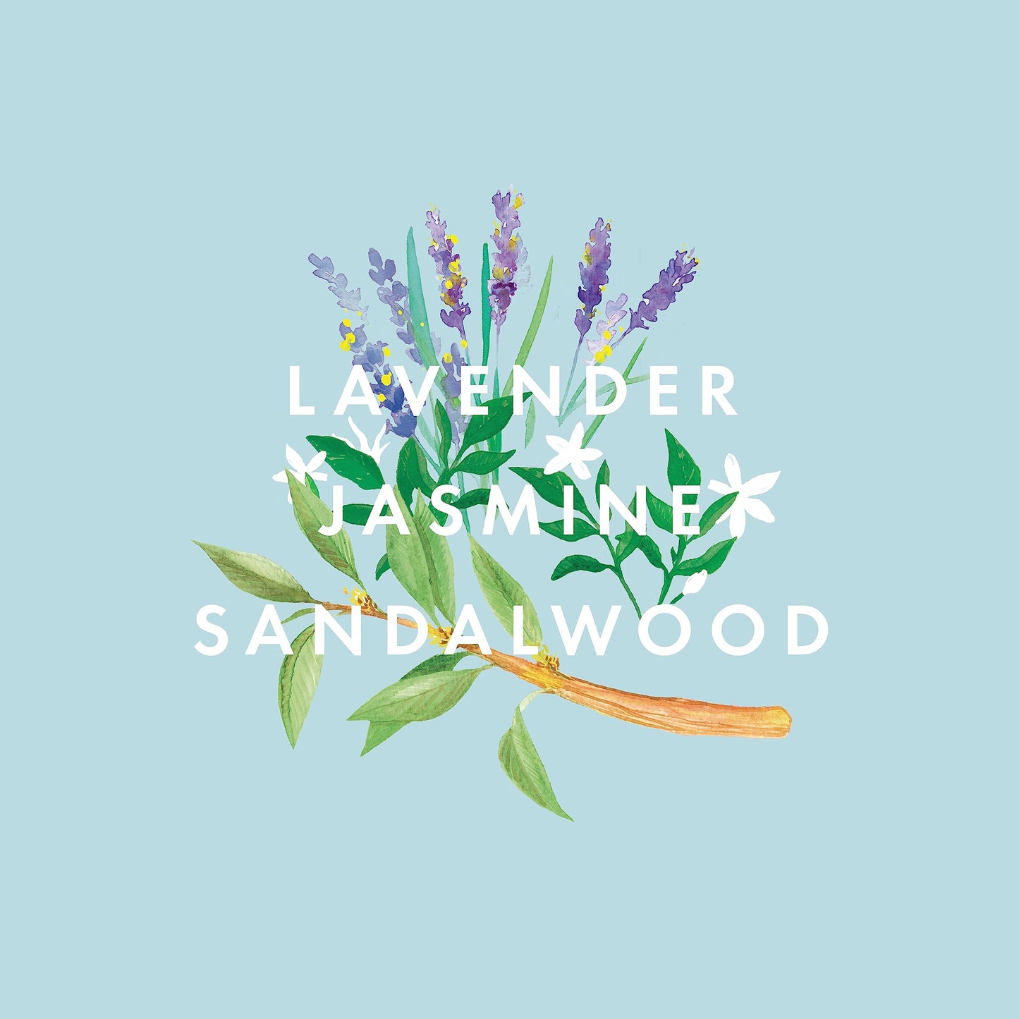 NEOM - Real Luxury Essential Oil Blend, 10ml | Lavender, Jasmine & Sandalwood | Scent to De-Stress Range