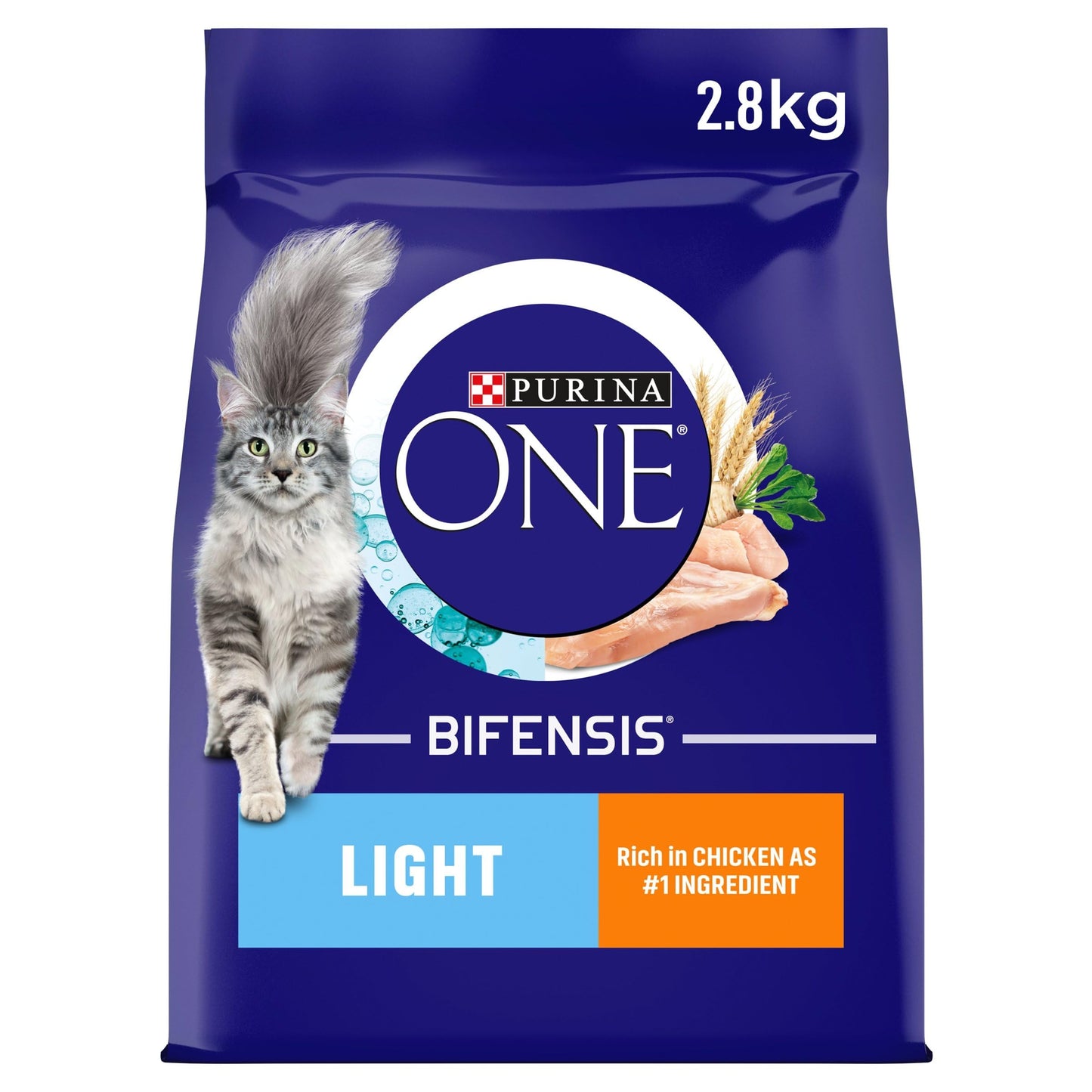PURINA ONE | Dry Cat Food