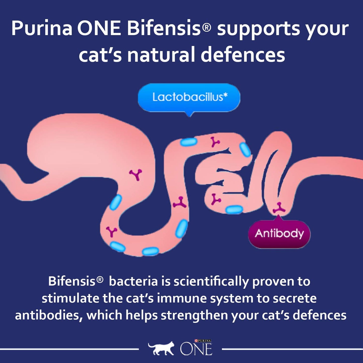 PURINA ONE Dry Cat Food