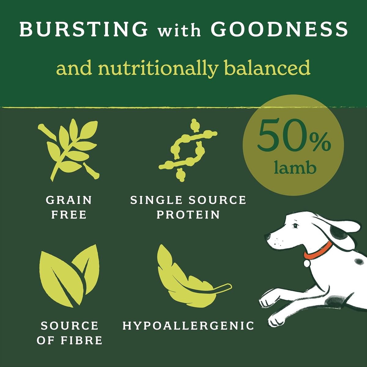 Forthglade Dry Dog Food, Lightly Baked, (6kg), Hypoallergenic and Grain Free Dog Food, Adult 1 Year +, Chicken With Sweet Potato, Complete and Balanced Meal, 50% Single Source Protein