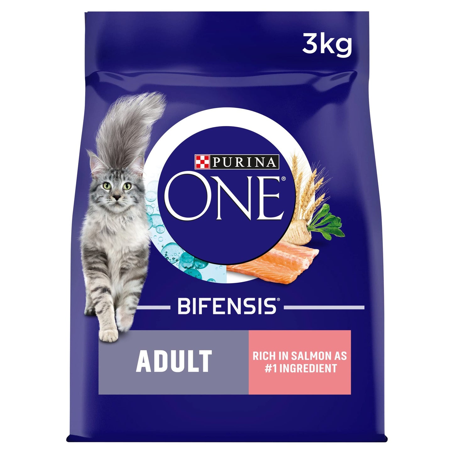 PURINA ONE Dry Cat Food