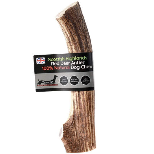 Scottish Deer Antler Dog Chews - Naturally Shed, Long Lasting, 100% Natural… (Deer Antler Chew Medium 90-130g)