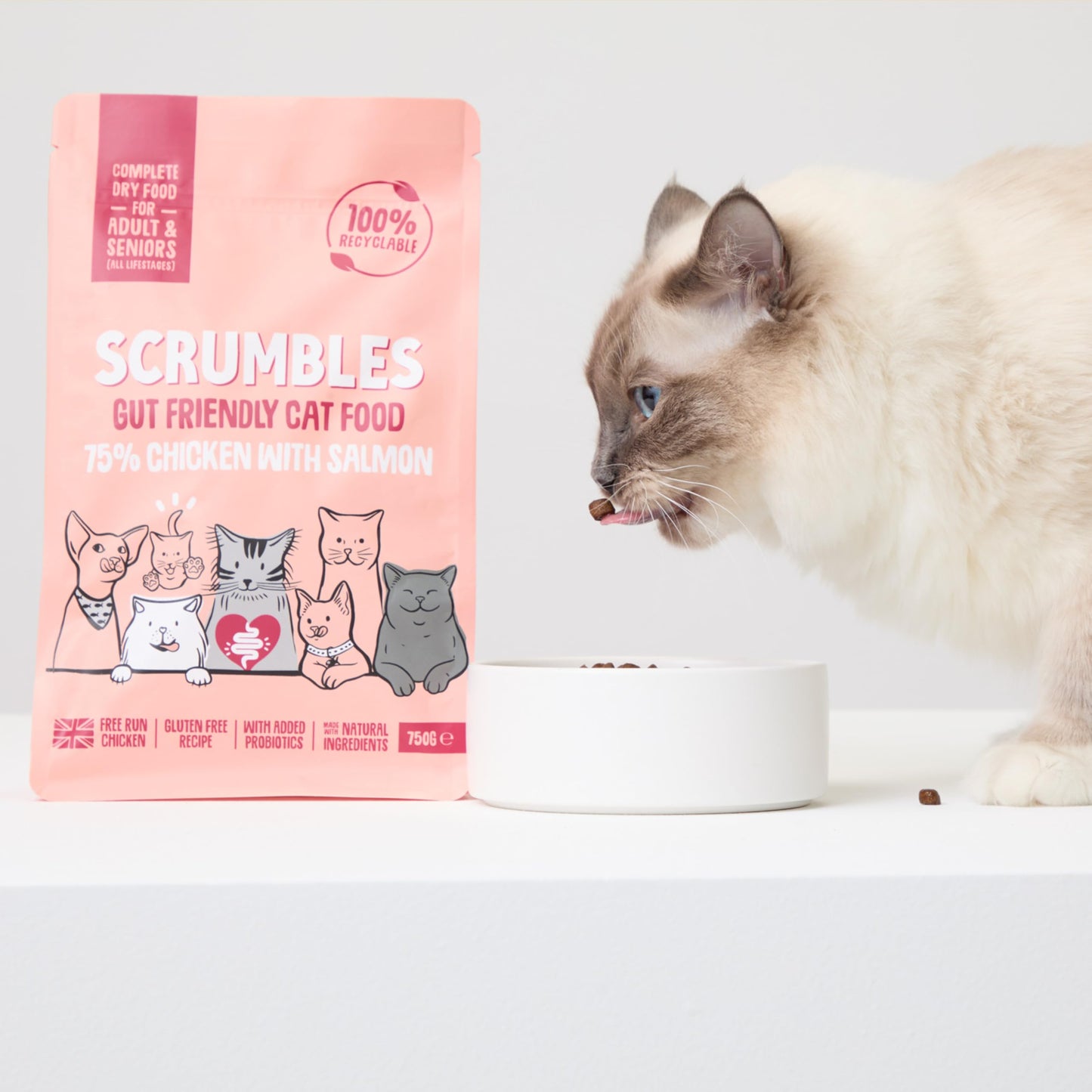 Scrumbles All Natural Dry Cat Food With 75% Chicken and Fresh Salmon, High Protein Food for Adults And Seniors