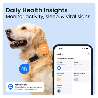 Smart Dog Tracker