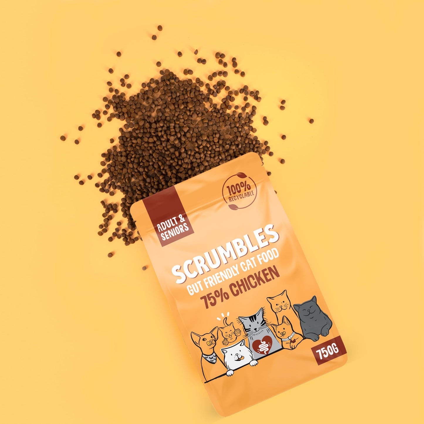 Scrumbles All Natural Dry Cat Food With 75% Chicken and Fresh Salmon, High Protein Food for Adults And Seniors