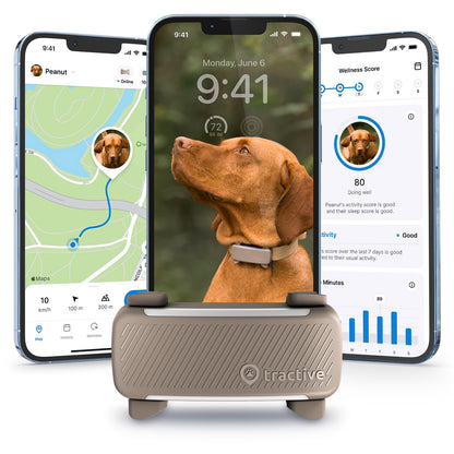 Smart Dog Tracker