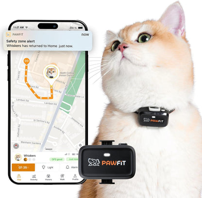 Pawfit Lite 4G GPS Cat Tracker