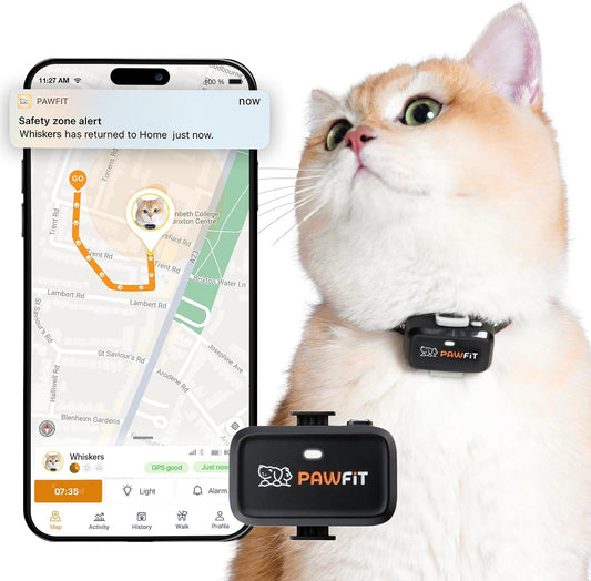 Pawfit Lite 4G GPS Cat Tracker