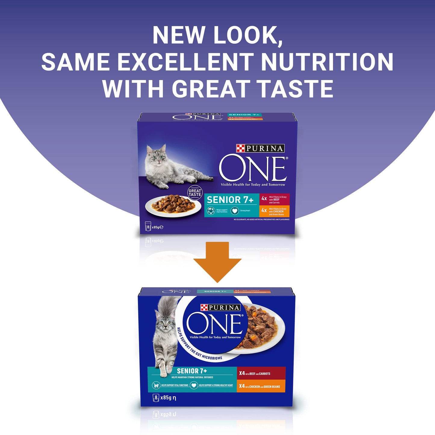 PURINA ONE Adult Cat Food Mini Fillets in Gravy 40 x 85g