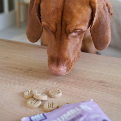Scrumbles • Dog Treats • Hypoallergenic • Calming • All Lifestages • Turkey • 100g Bag • Gut Friendly Prebiotics • No Added Sugar