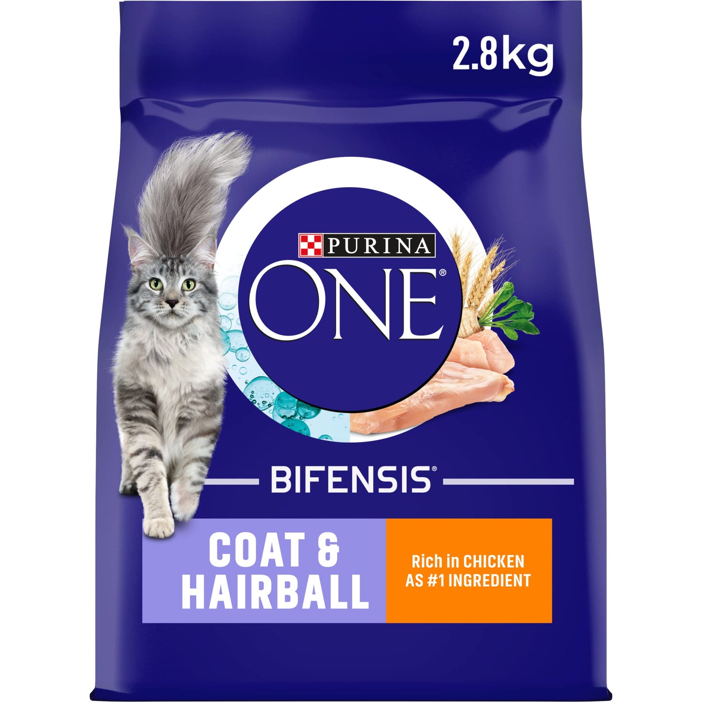 PURINA ONE Dry Cat Food