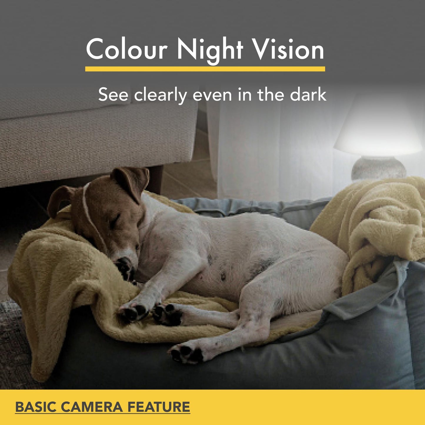 Furbo 360° Pet Camera w/Home Safety Package [PREMIUM W/SUBSCRPITION] Smart Pet Monitor w/App for Pet & Home, Rotating 360° View, Colour Night Vision, Auto-Tracking, Treat-toss, Barking, Smart Alert