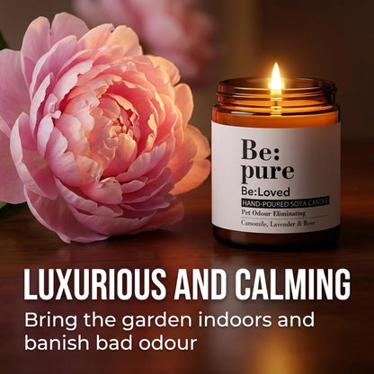 Be:Loved - Be:Pure Pet & Dog Odour Eliminating Scented Candle - Natural Soy & Beeswax with Lavender & Camomile - Soy Candle, Candle Gift - 150ml, 30 Hours Burn Time