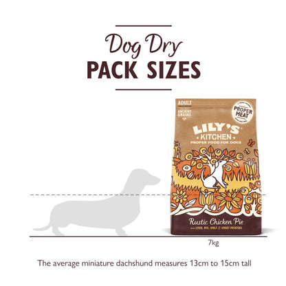 Natural Adult Dry Dog Food Beef Stew with Ancient Grains 1kg
