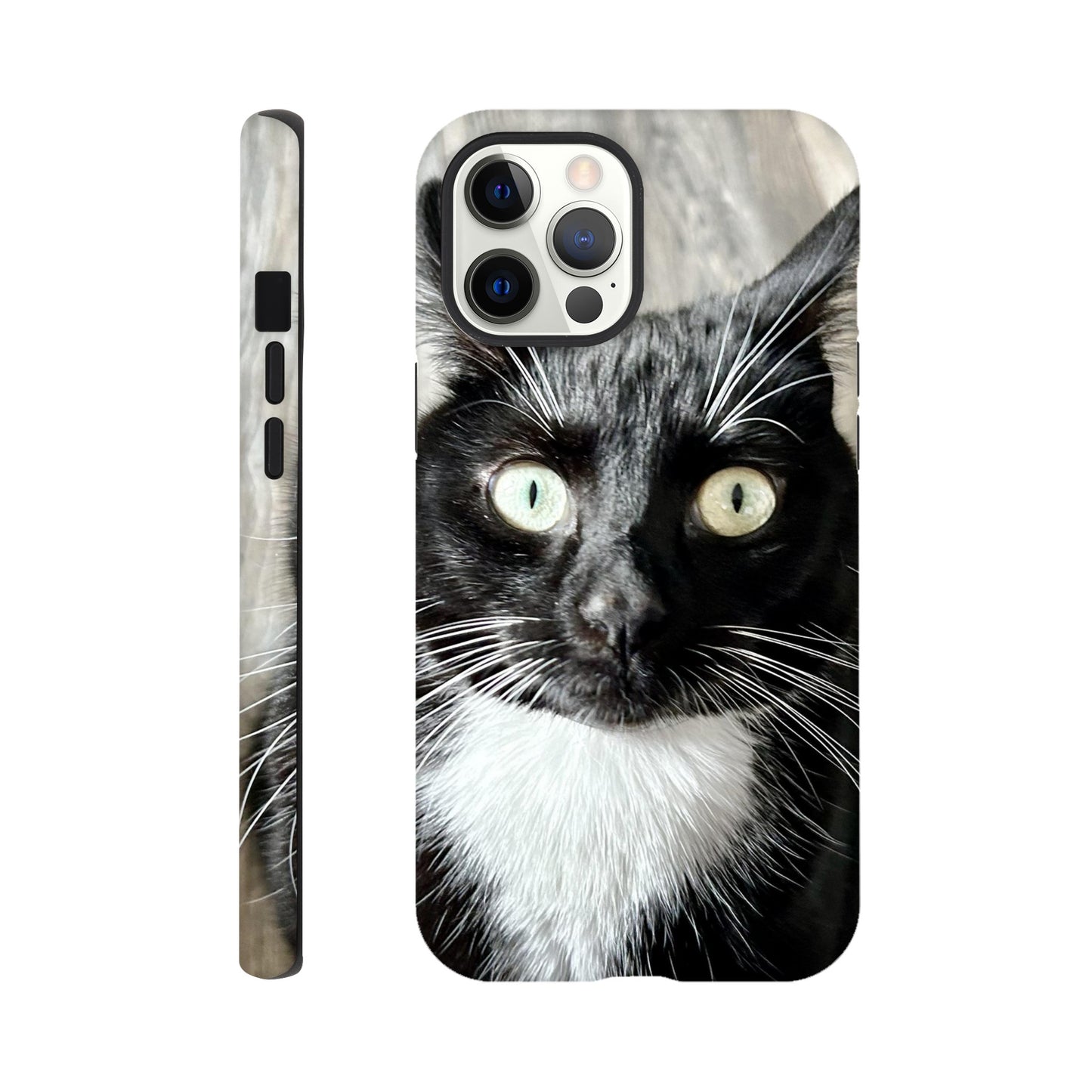 76aa4ab8-c347-4f2e-a969-a48173b4dc15