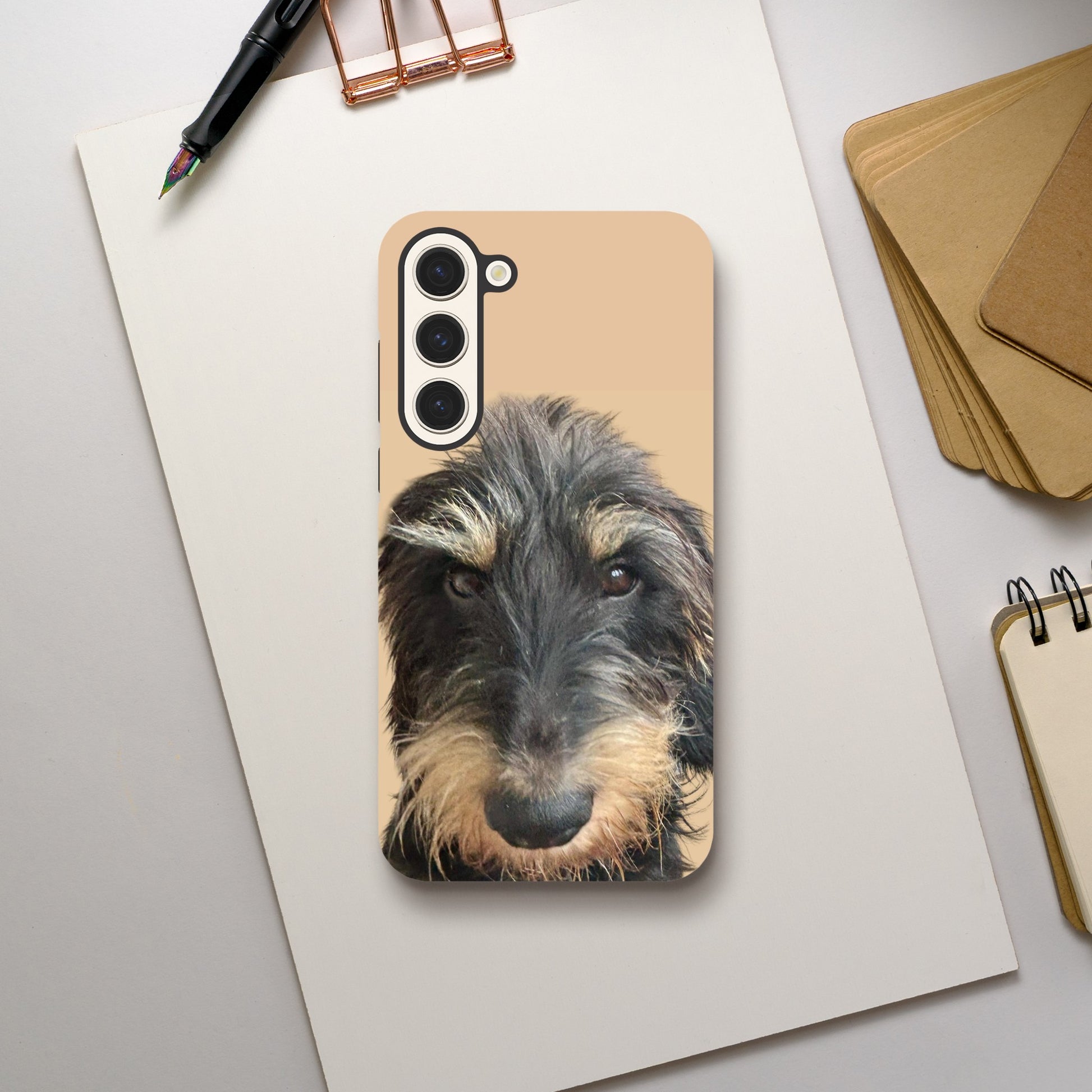 778b32c3-2452-49fd-be21-12ab51aa27da