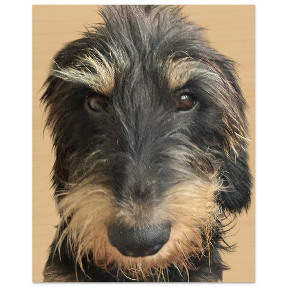 7ae751e6-b0eb-47b0-8ab3-57ae0b7cd7bb