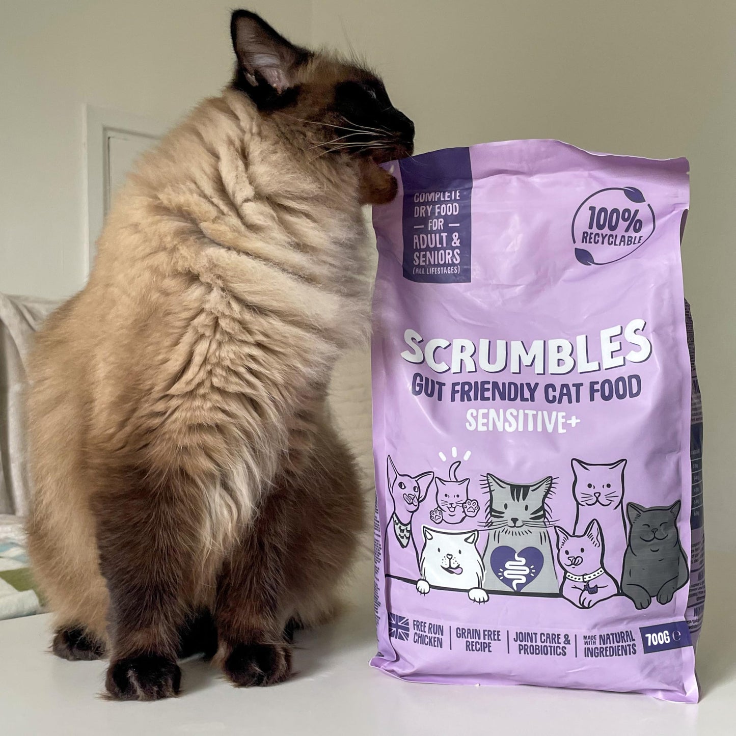 Scrumbles All Natural Dry Cat Food With 75% Chicken and Fresh Salmon, High Protein Food for Adults And Seniors