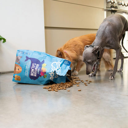 Grain Free Adult Dog Food Dry Kibble
