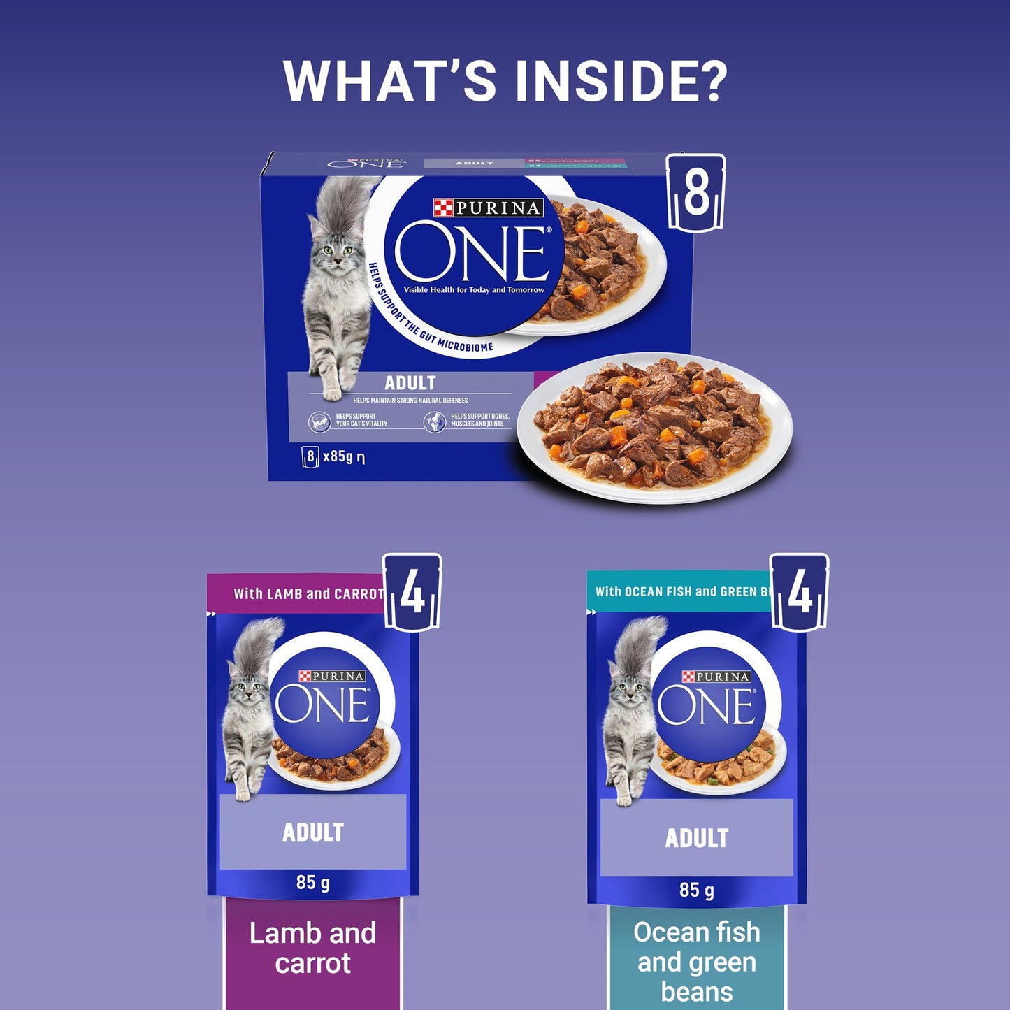 PURINA ONE Adult Cat Food Mini Fillets in Gravy 40 x 85g