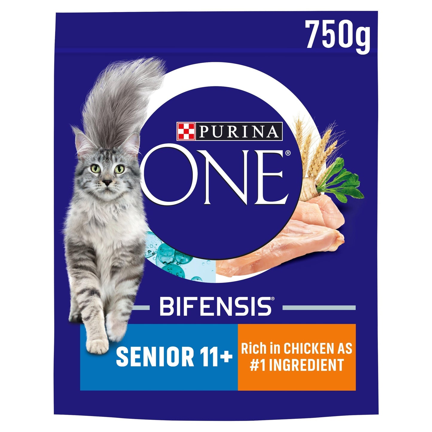PURINA ONE | Dry Cat Food
